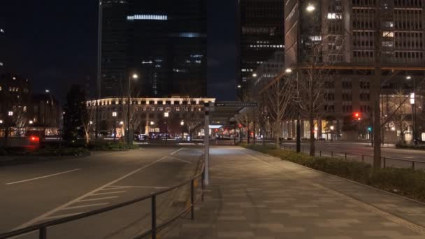 Japán Tokió Éjszakai Kilátás Tájkép — Stock videók