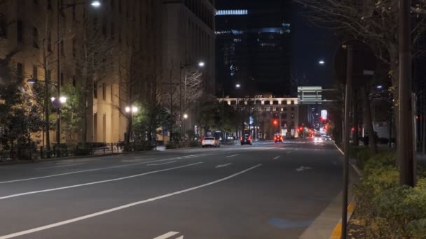 Japan Tokio Nachtzicht Landschap — Stockvideo