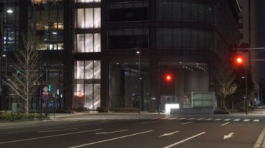 Japonya Tokyo Gece Manzarası