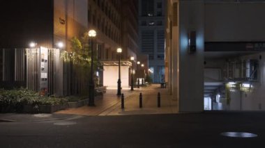 Japonya Tokyo Gece Manzarası