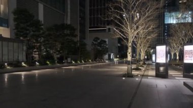 Japonya Tokyo Gece Manzarası