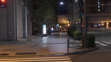 Japonya Tokyo Gece Manzarası
