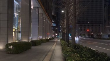 Japonya Tokyo Gece Manzarası