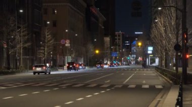 Japonya Tokyo Gece Manzarası