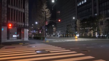 Japonya Tokyo Gece Manzarası