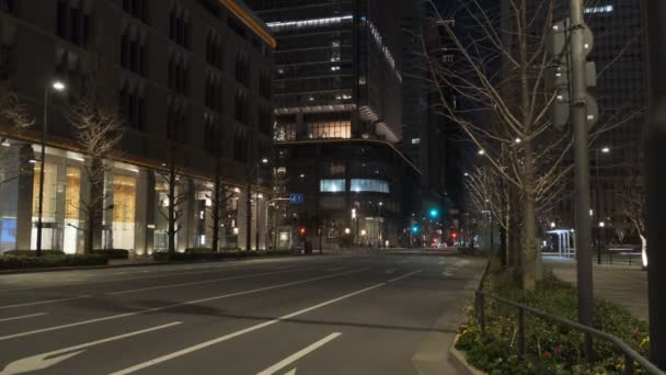 Japón Tokio Vista Nocturna Paisaje — Vídeos de Stock