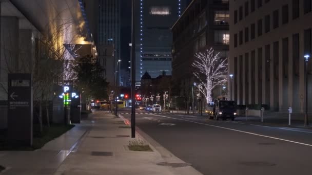 Ιαπωνία Τόκιο Night View Τοπίο — Αρχείο Βίντεο