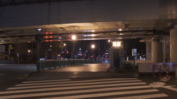 Japão Tóquio Vista Noturna Paisagem — Vídeo de Stock
