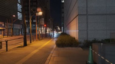 Japonya Tokyo Gece Manzarası