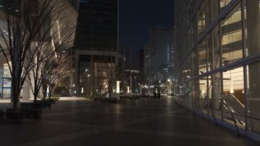 Japonya Tokyo Gece Manzarası