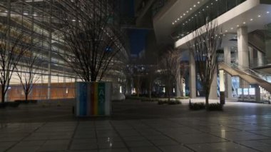 Japonya Tokyo Gece Manzarası