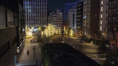 Japonya Tokyo Gece Manzarası