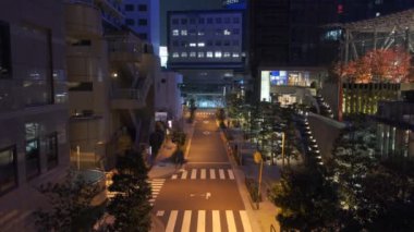 Japonya Tokyo Gece Manzarası