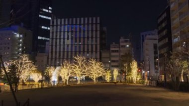 Japonya Tokyo Gece Manzarası