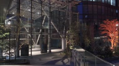 Japonya Tokyo Gece Manzarası