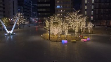 Japonya Tokyo Gece Manzarası