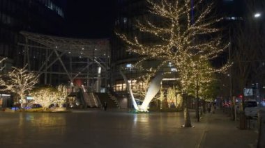 Japonya Tokyo Gece Manzarası