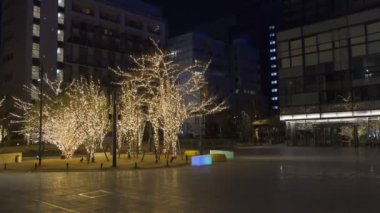 Japonya Tokyo Gece Manzarası