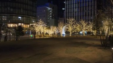 Japonya Tokyo Gece Manzarası