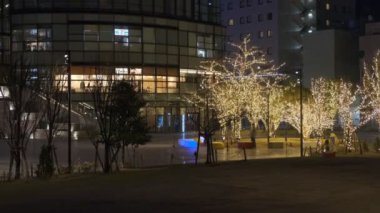 Japonya Tokyo Gece Manzarası