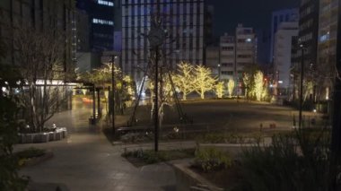 Japonya Tokyo Gece Manzarası