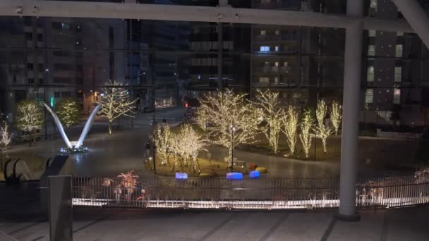 Japonya Tokyo Gece Manzarası — Stok video