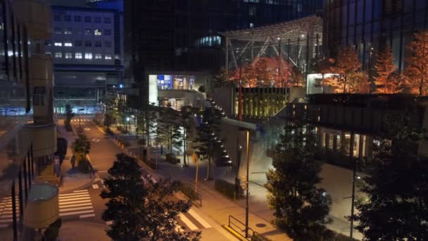 Ιαπωνία Τόκιο Night View Τοπίο — Αρχείο Βίντεο