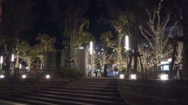 Japonya Tokyo Gece Manzarası