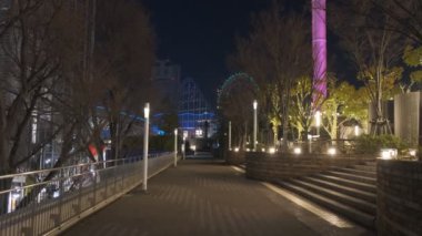 Japonya Tokyo Gece Manzarası