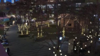 Japonya Tokyo Gece Manzarası