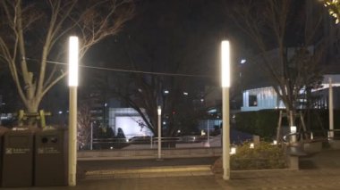 Japonya Tokyo Gece Manzarası