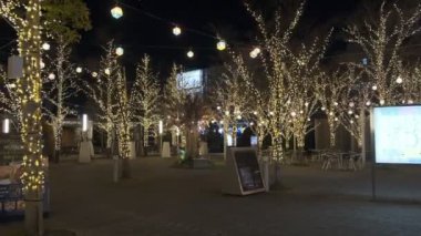 Japonya Tokyo Gece Manzarası