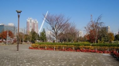 Tokyo Odaiba Manzarası Aralık 2021