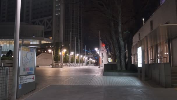 Japón Tokio Vista Nocturna Paisaje — Vídeos de Stock