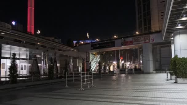 Japón Tokio Vista Nocturna Paisaje — Vídeo de stock