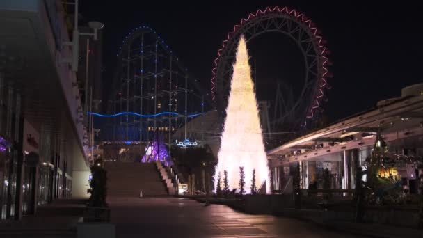 Japón Tokio Vista Nocturna Paisaje — Vídeo de stock