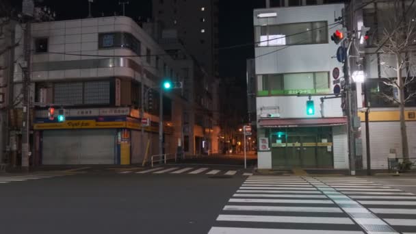 Japon Tokyo Vue Nuit Paysage — Video