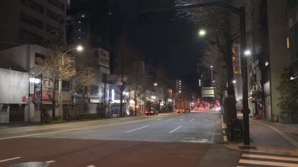 Japón Tokio Vista Nocturna Paisaje — Vídeo de stock