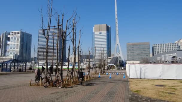 Krajobraz Tokio Odaiba Grudzień 2021 — Wideo stockowe
