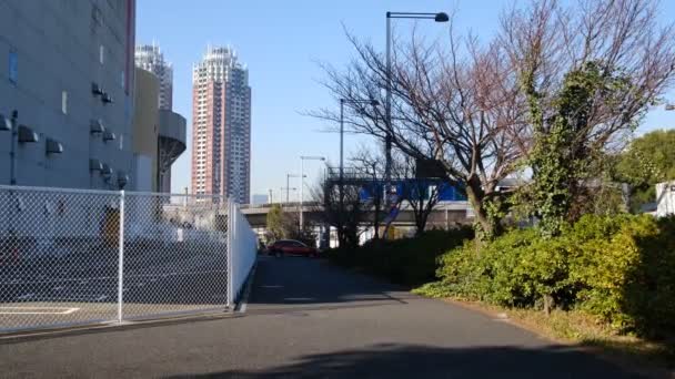 Tokio Odaiba Paisaje Diciembre 2021 — Vídeos de Stock