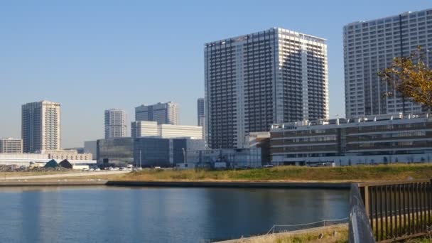 2021年12月东京奥代巴景观 — 图库视频影像