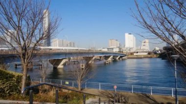 Tokyo Odaiba Manzarası Aralık 2021