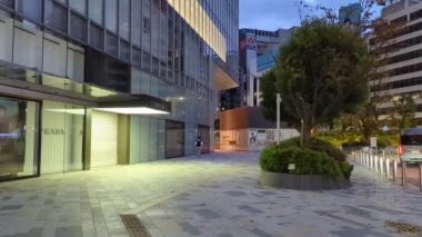 Tokyo İstasyonu Kasım 2021