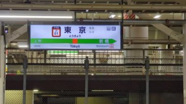 Tokyo İstasyonu Kasım 2021