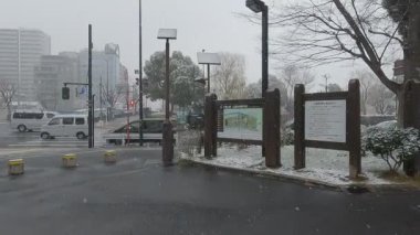Tokyo Kiba Parkı 2022 'de şiddetli kar yağdı