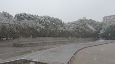 Tokyo Kiba Parkı 2022 'de şiddetli kar yağdı