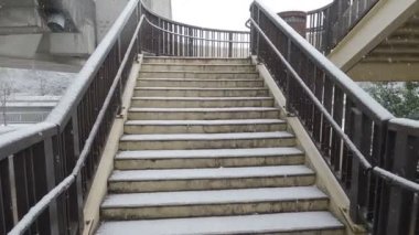 Tokyo Kiba Parkı 2022 'de şiddetli kar yağdı