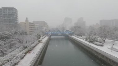 Tokyo Kiba Parkı 2022 'de şiddetli kar yağdı