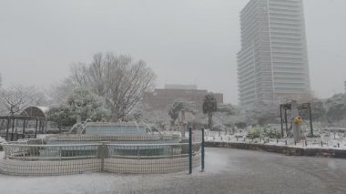 Tokyo Kiba Parkı 2022 'de şiddetli kar yağdı