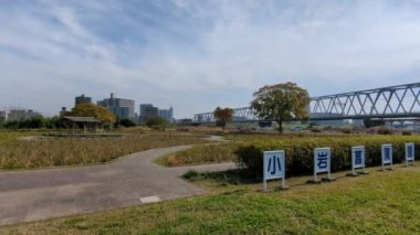 Tokyo Edogawa Nehir yatağı Kasım 2021